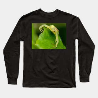 Unique and organic photo of a crab spider Long Sleeve T-Shirt